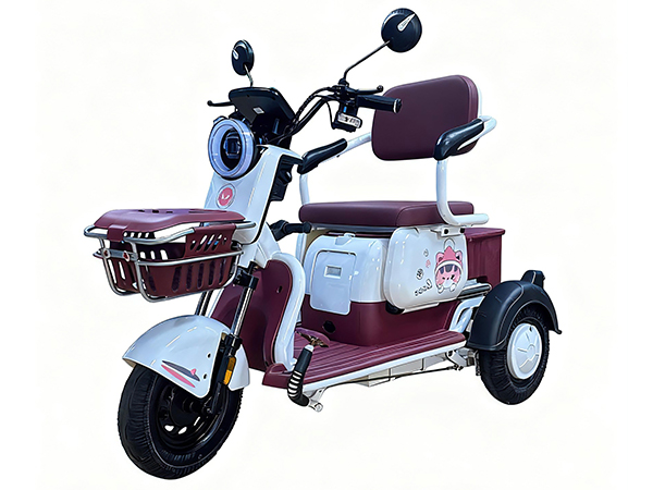 WINLEE DuraMax Battery Product 6