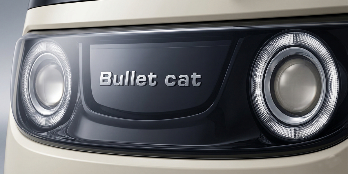 Dual Halo Lens Headlight System