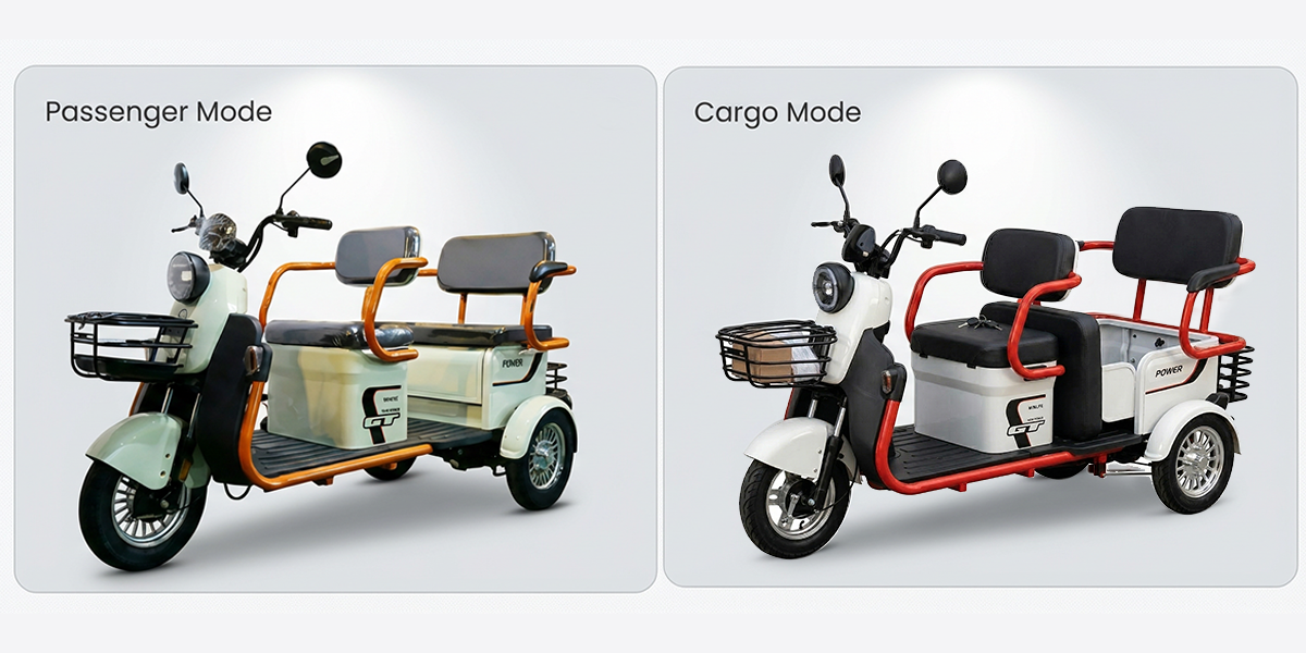 Dual Mode Passenger & Cargo Design