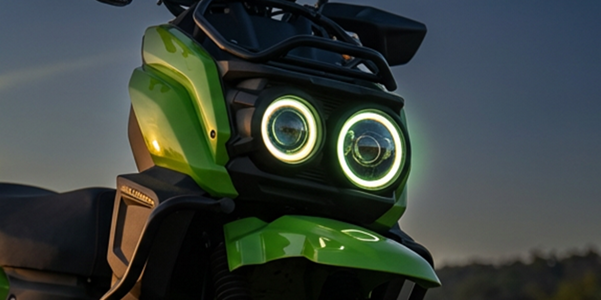 Dual Halo LED Headlight System