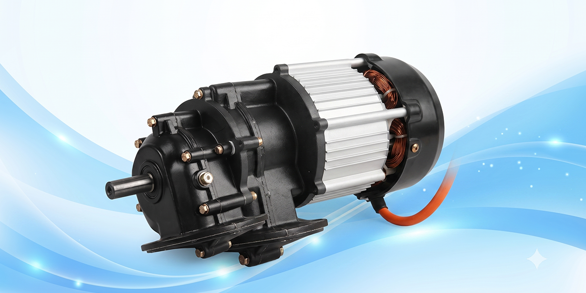 Heavy-Duty Drive Motor
